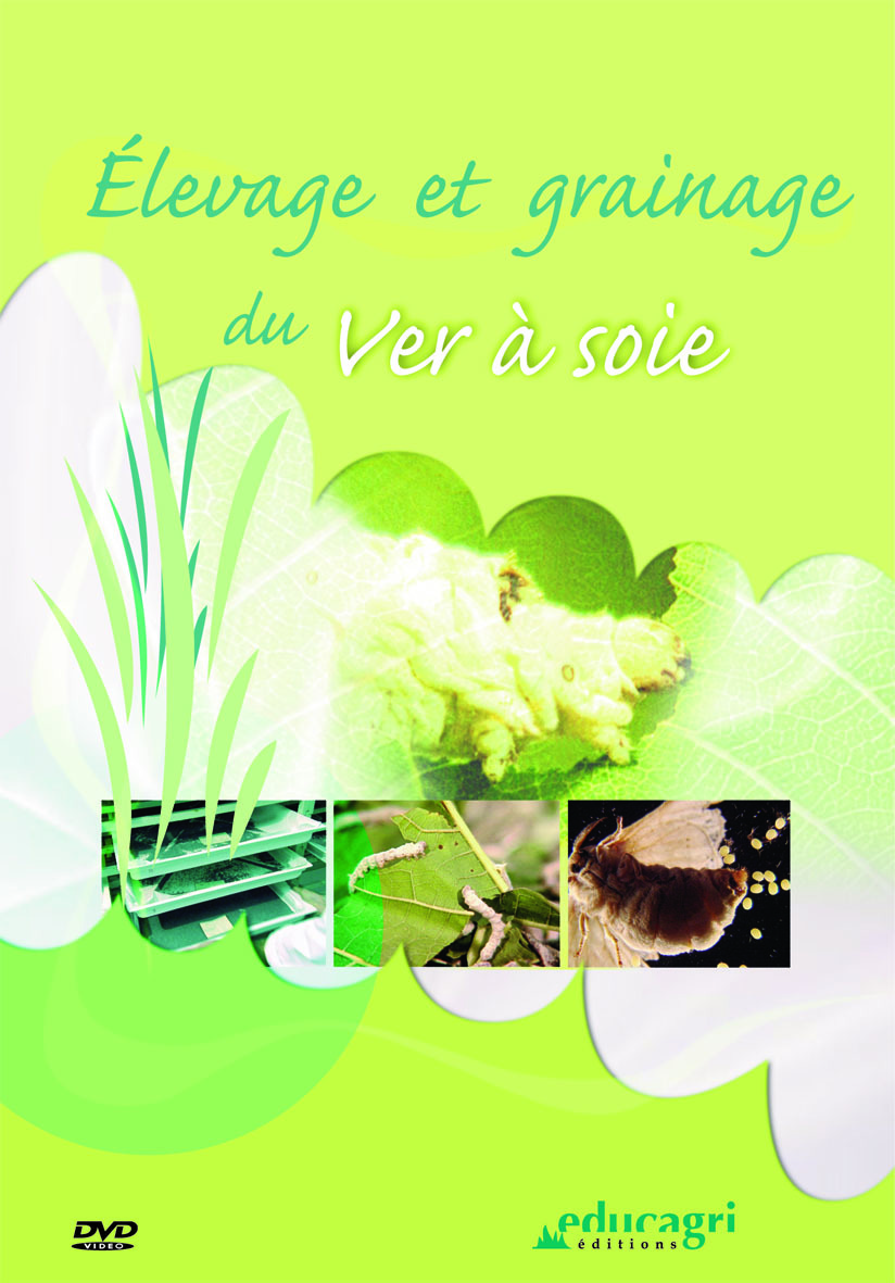 Élevage et grainage du ver à soie