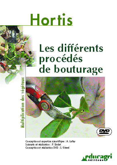 Différents procédés de bouturage (Les)