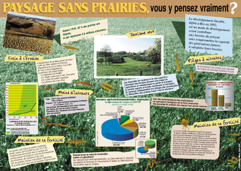 Paysages sans prairies, vous y pensez vraiment ?
