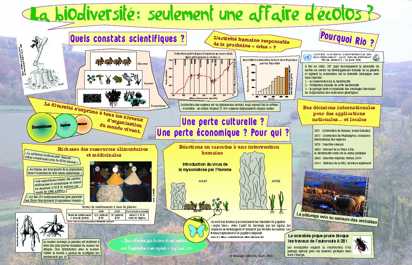 Biodiversité : seulement une affaire d'écolos ? (La)