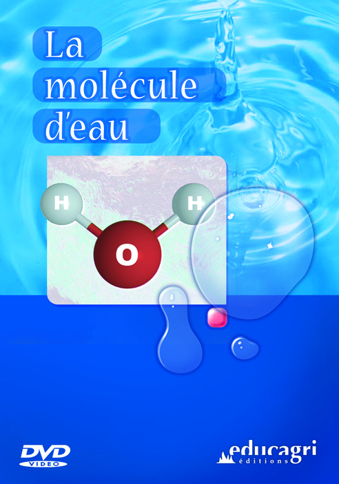 Molécule d'eau