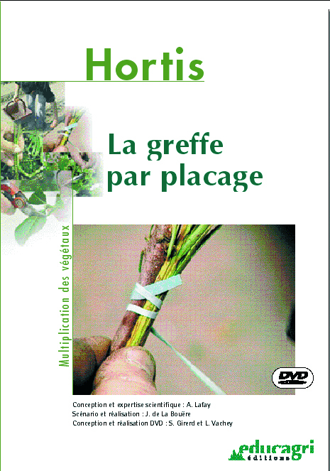Greffe par placage (La)