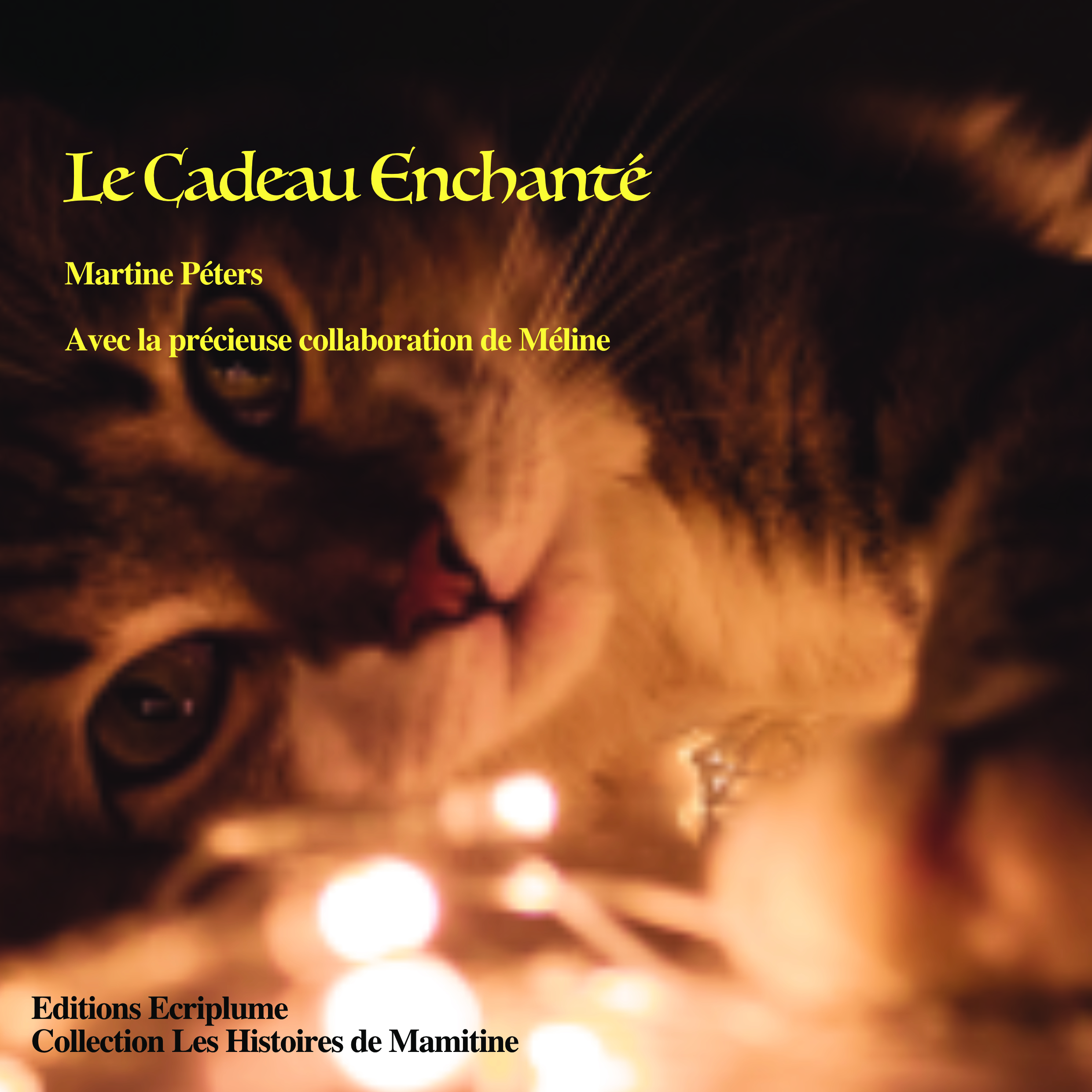 Le Cadeau Enchanté