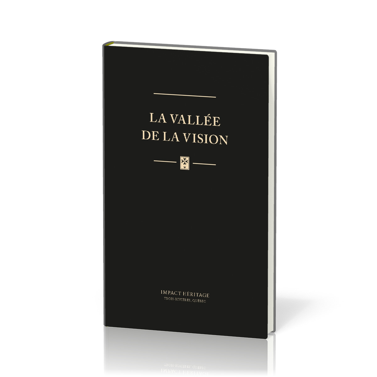 La Vallée de la vision
