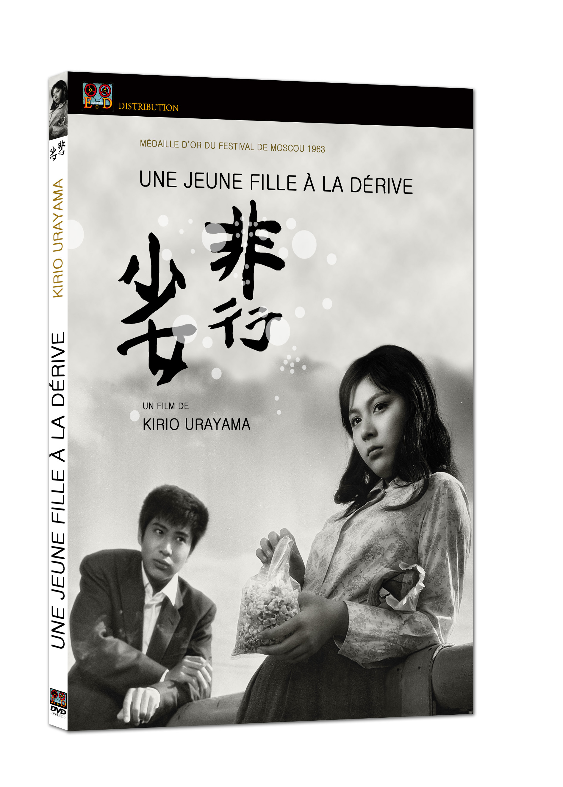 UNE JEUNE FILLE A LA DERIVE - DVD