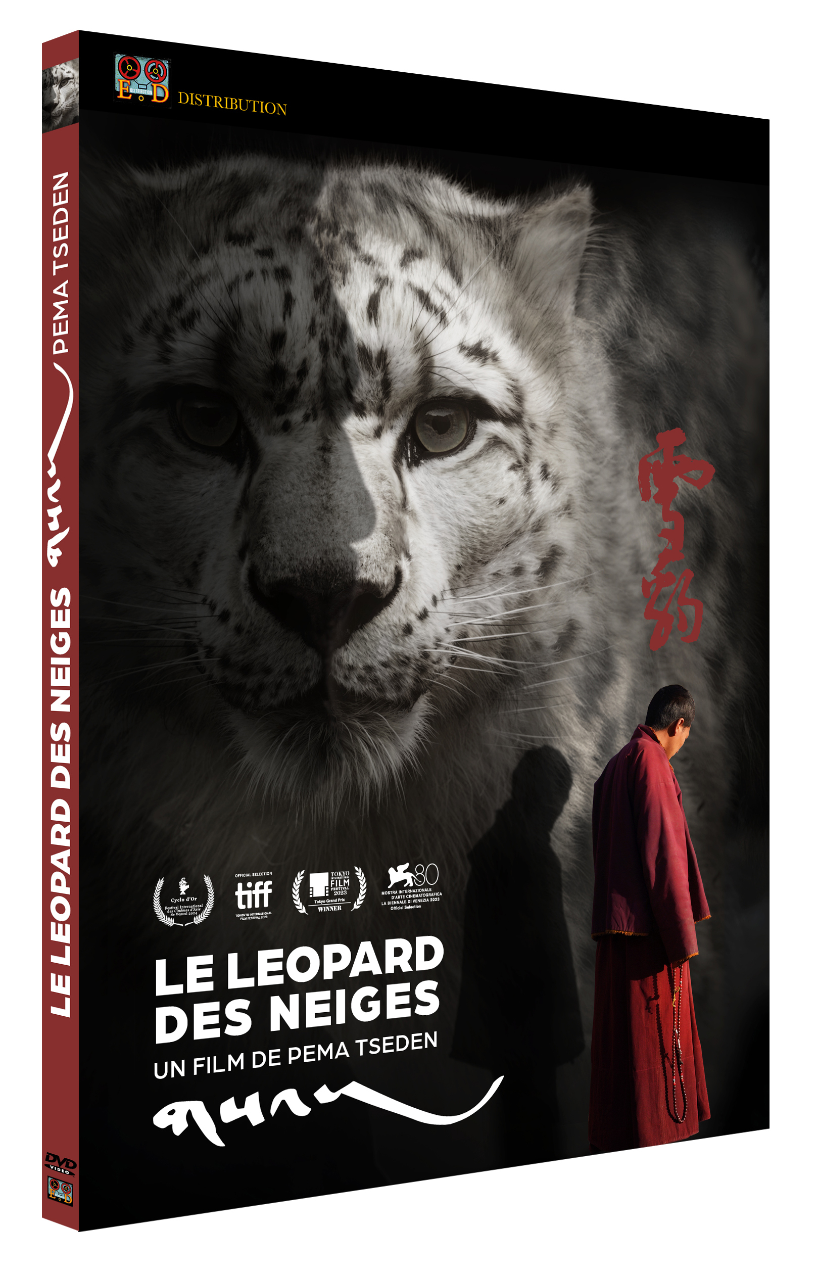 LEOPARD DES NEIGES (LE) - DVD