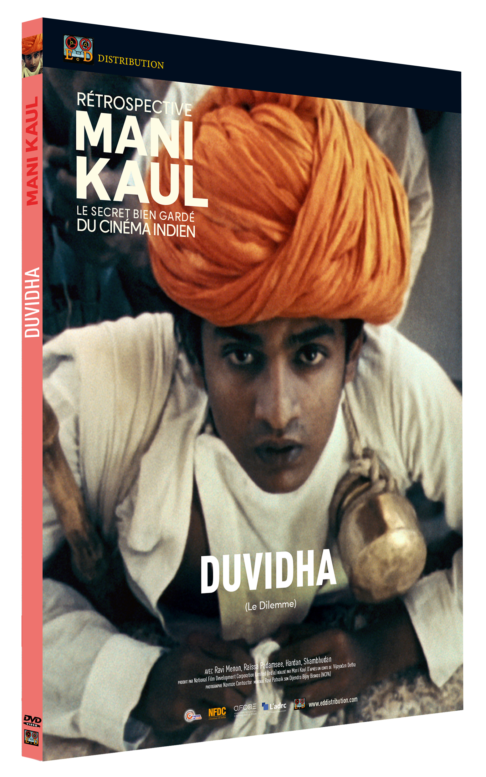 DUVIDHA - DVD