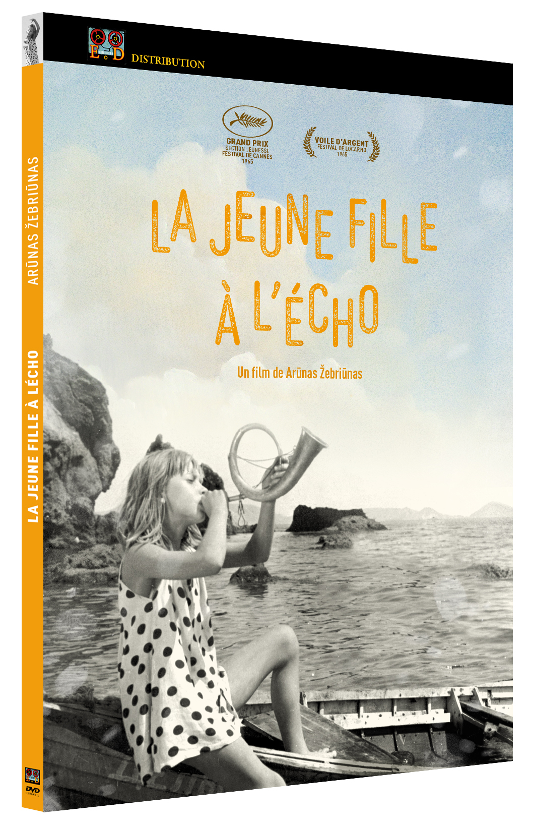 JEUNE FILLE A L'ECHO (LA) - DVD