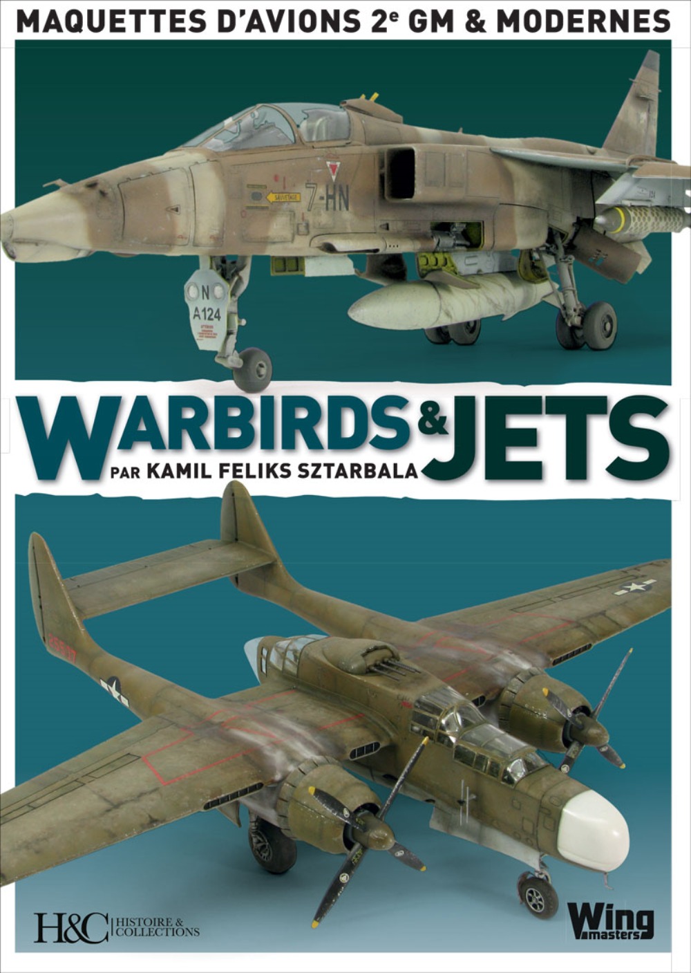 WARBIRDS ET JETS