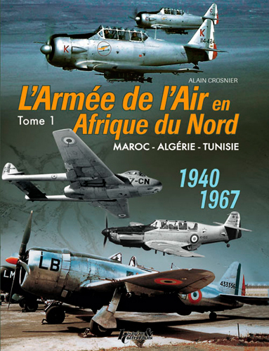 L'armée de l'air en AFN