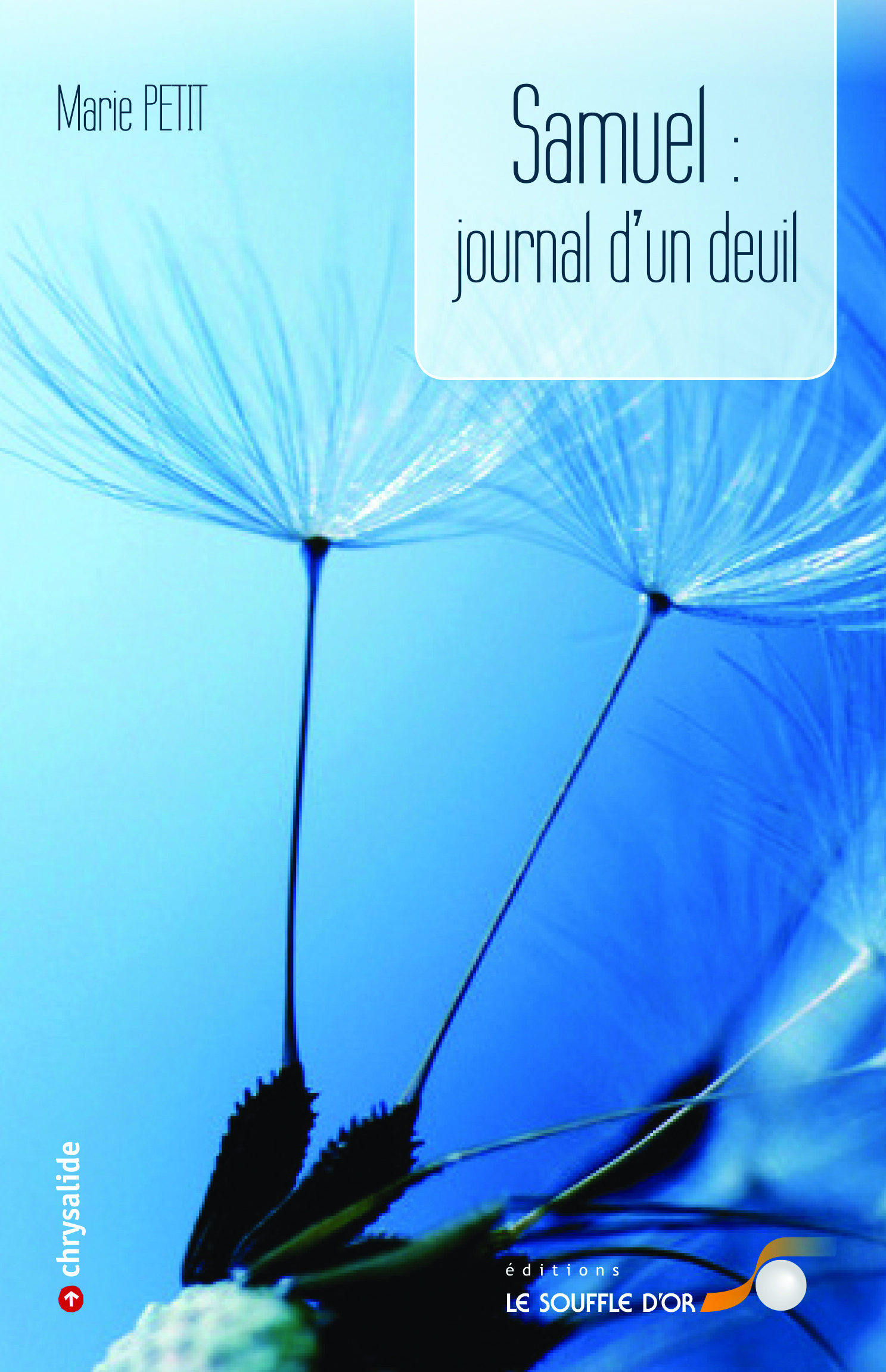 Samuel, journal d'un deuil