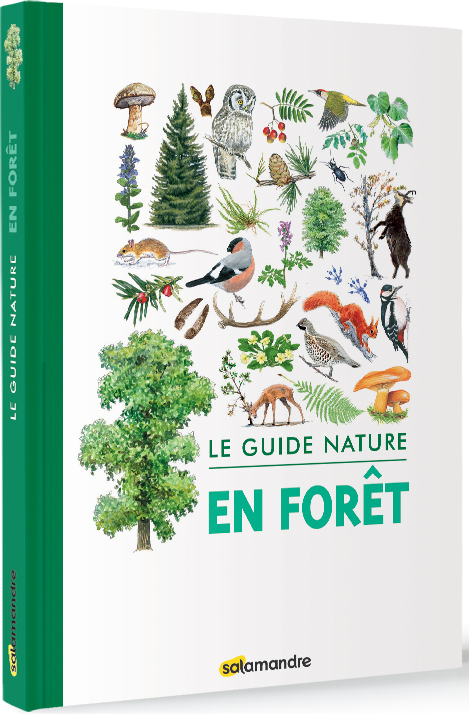Guide nature - En forêt