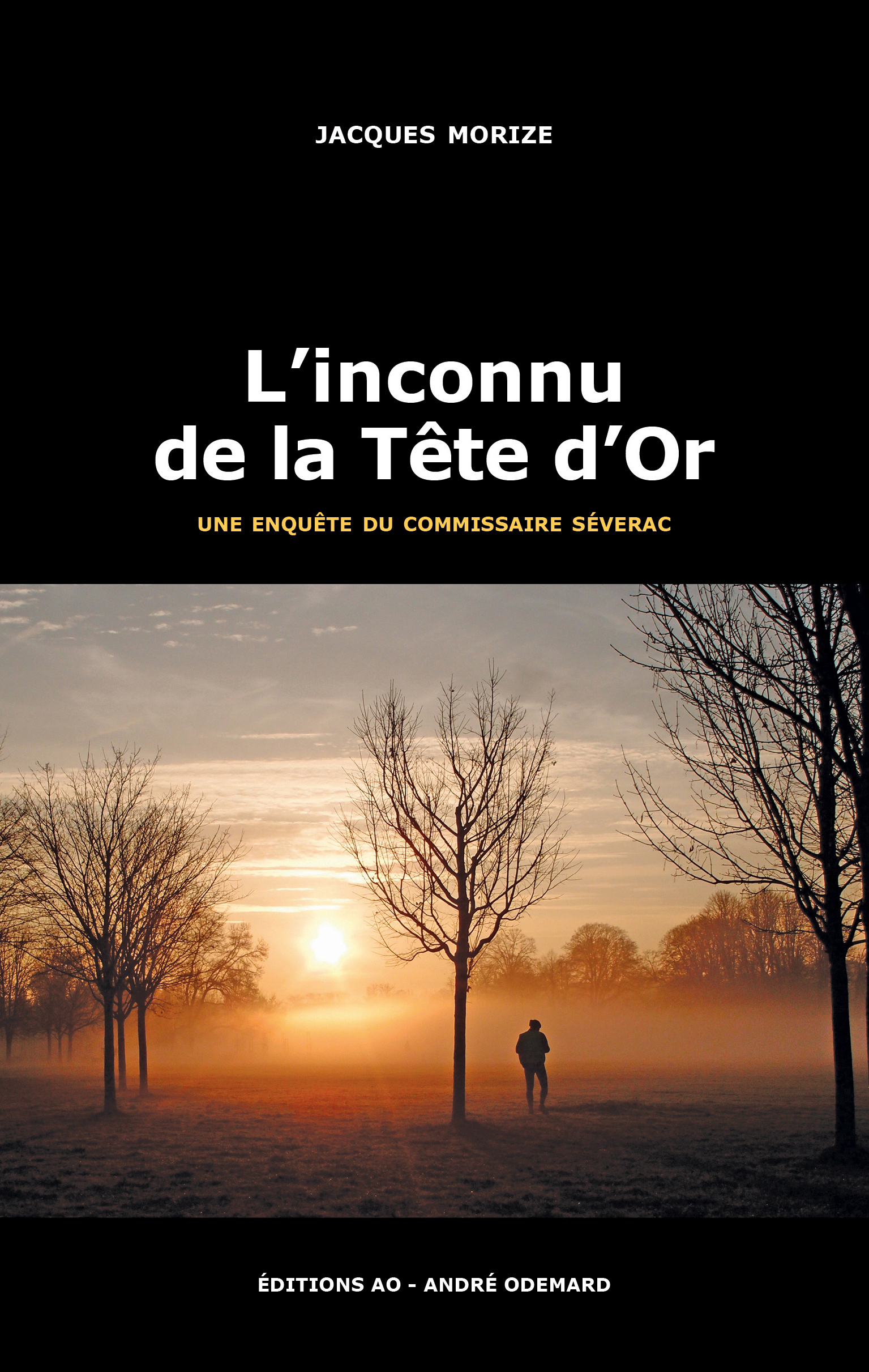 L'inconnu de la Tête d'Or (une enquête du commissaire Séverac)