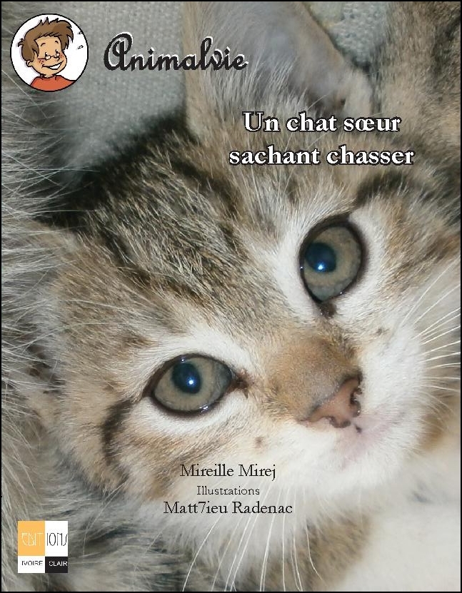 Un chat soeur sachant chasser