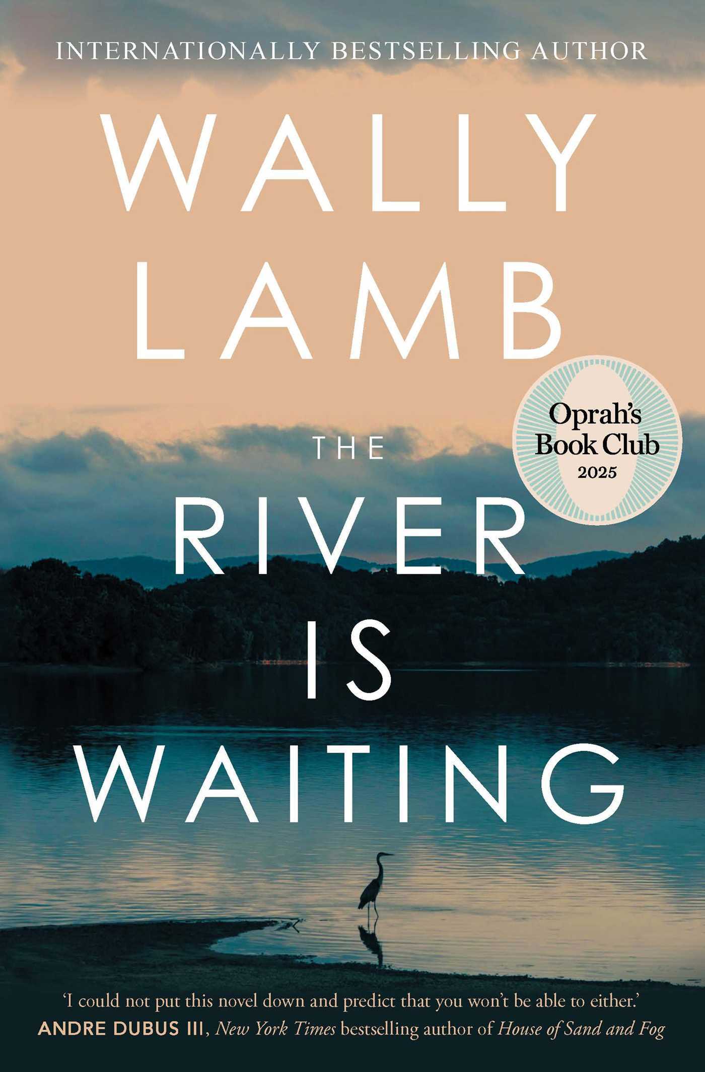 The River Is Waiting (Oprah's Book Club)