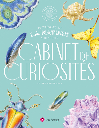 Cabinet de curiosités - 30 trésors de la nature à dessiner