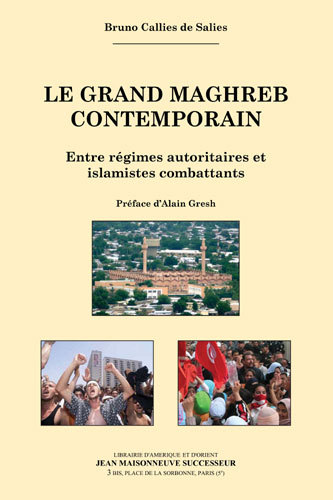 Le Grand Maghreb contemporain. Entre régimes autoritaires et islamistes combattants.