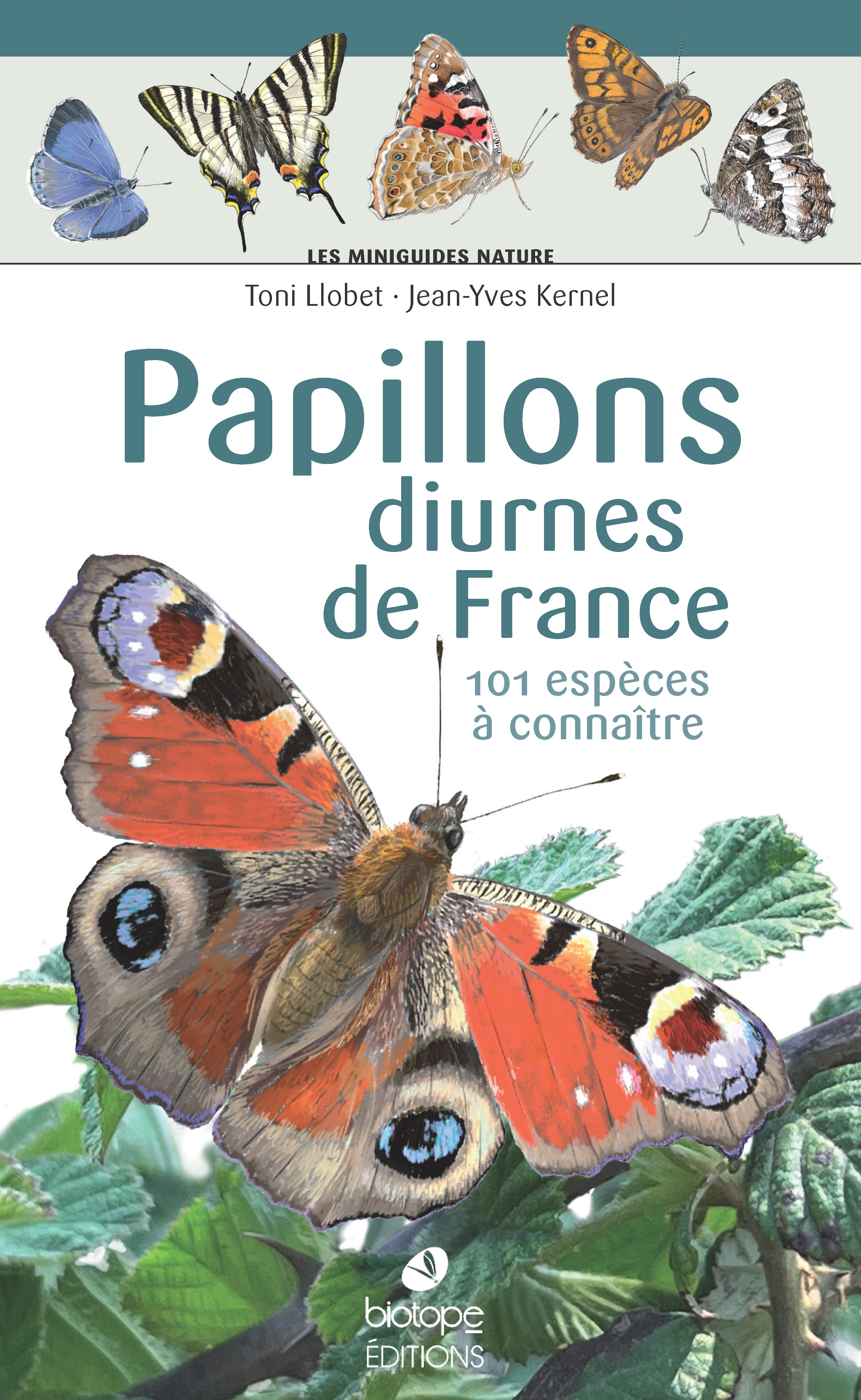 Les miniguides nature - Papillons diurnes de France