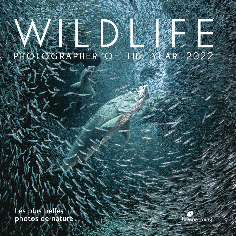Wildlife Photographer of the Year 2022
