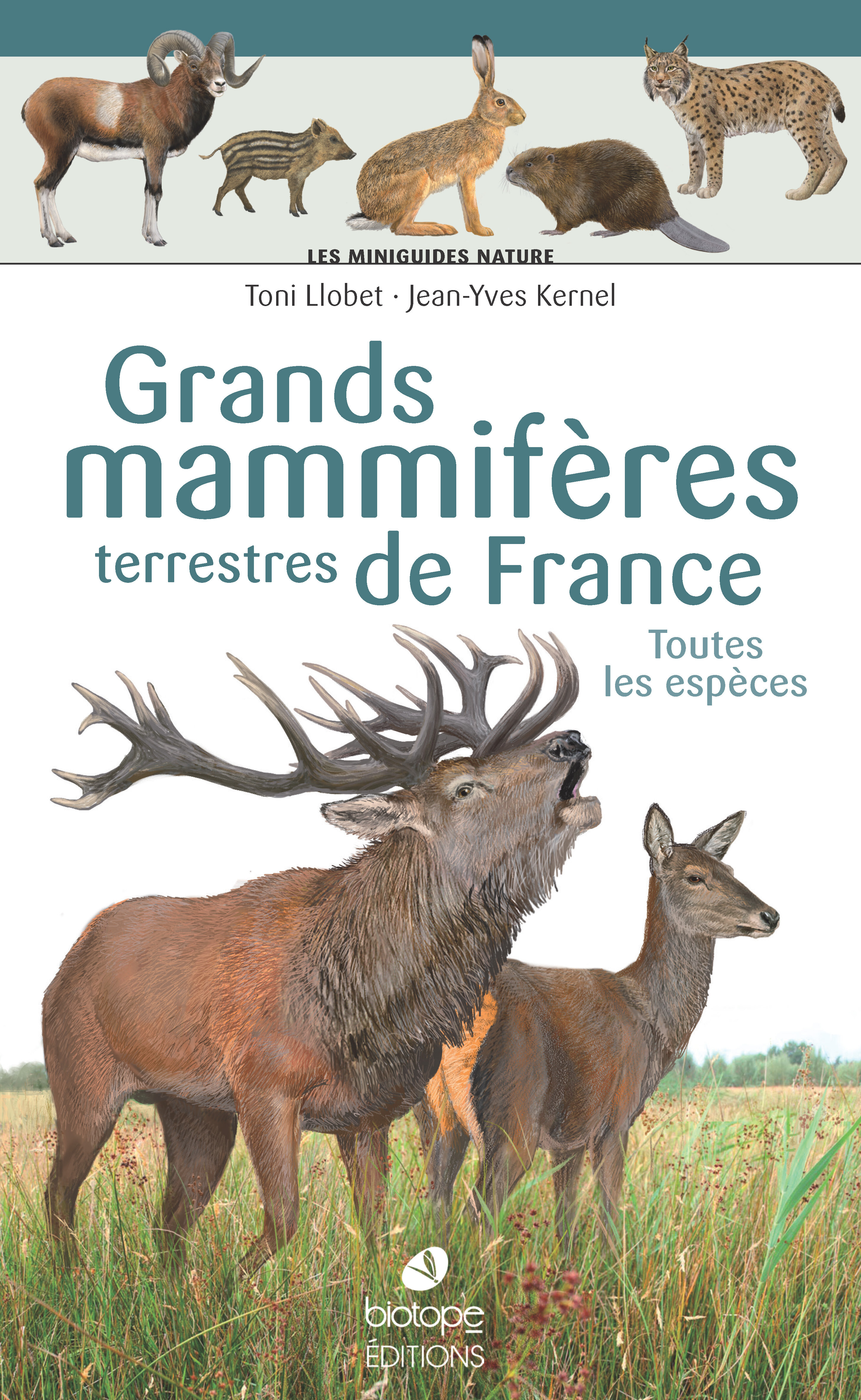 Les miniguides nature - Grands mammifères terrestres de France