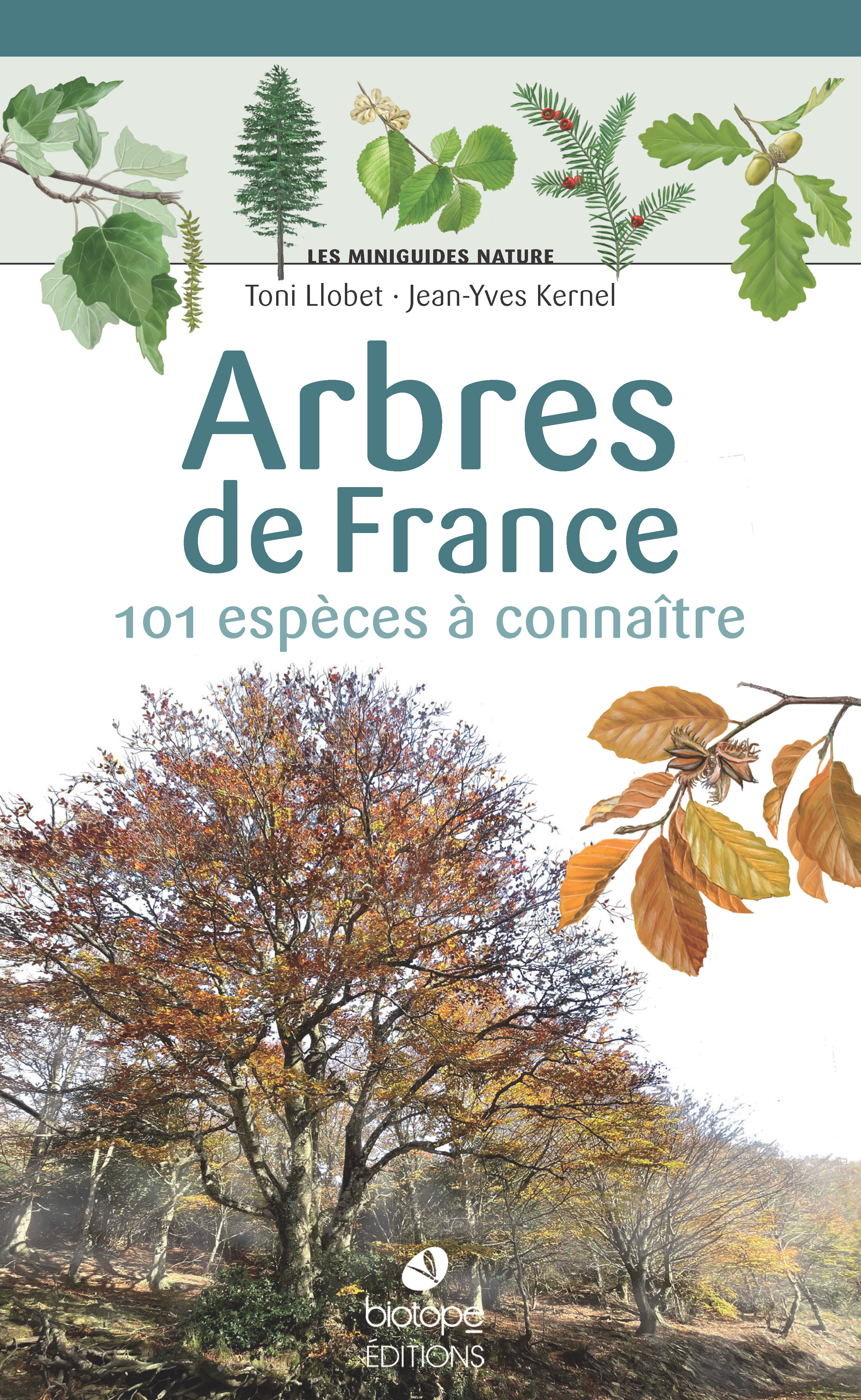 Les miniguides nature - Arbres de France
