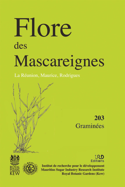 Flore des Mascareignes, la réunion, Maurice, Rodrigues - graminées