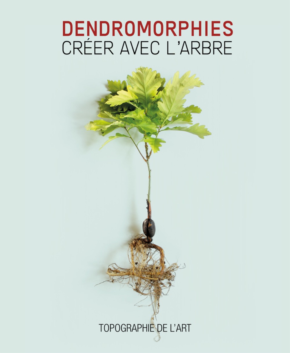 Dendromorphies - créer avec l'arbre