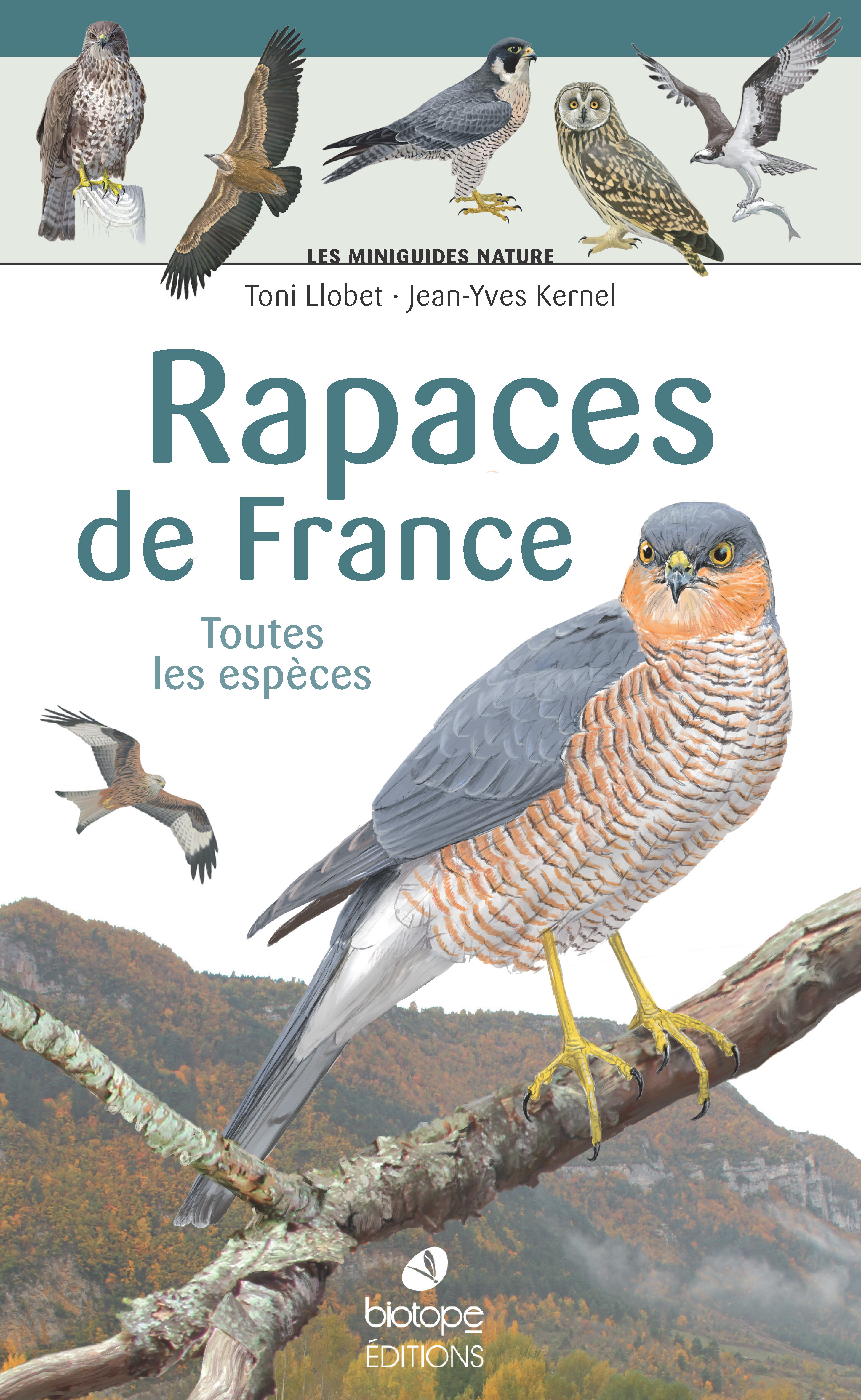 Les miniguides nature - Rapaces de France