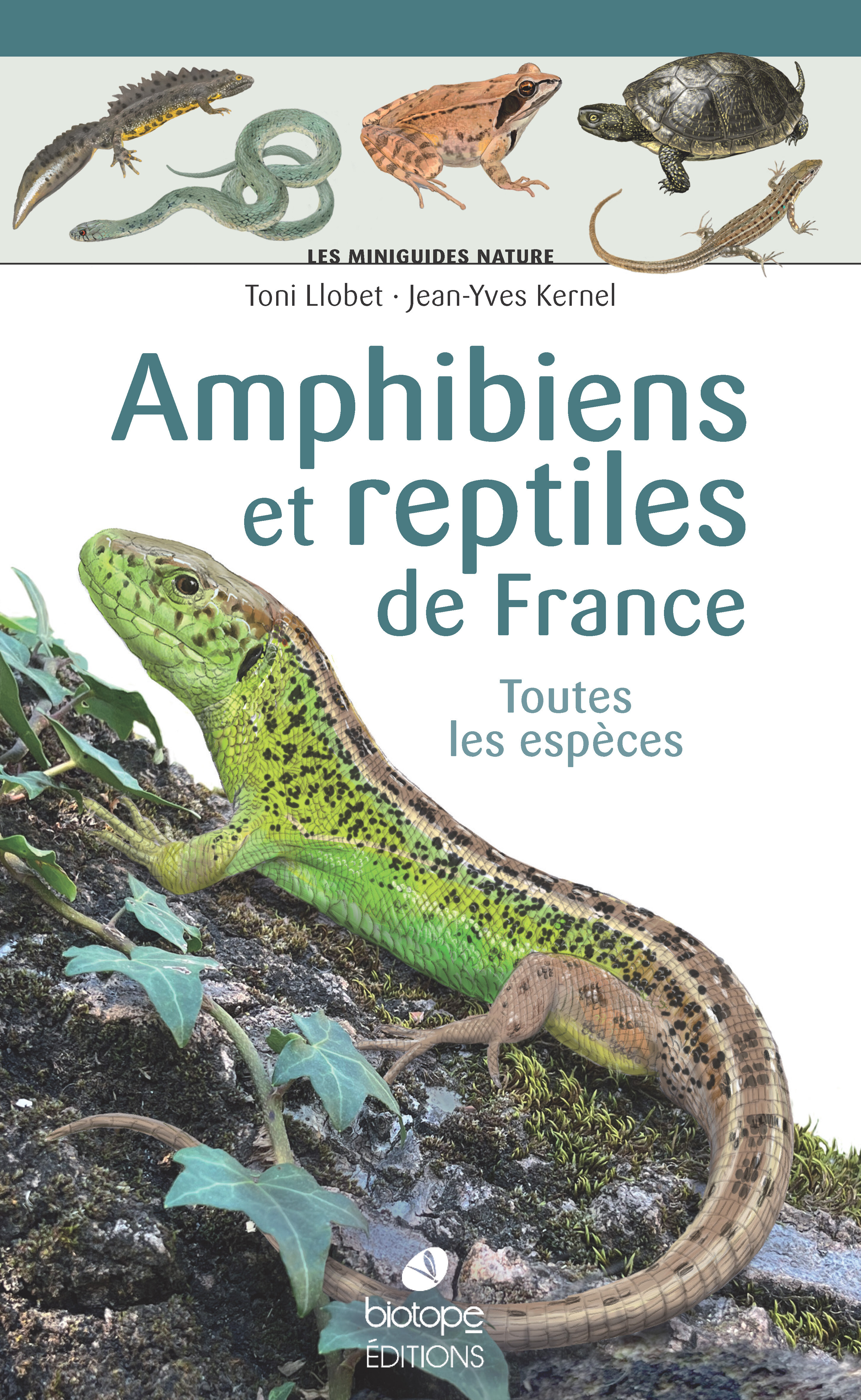 Les miniguides nature - Amphibiens et reptiles de France