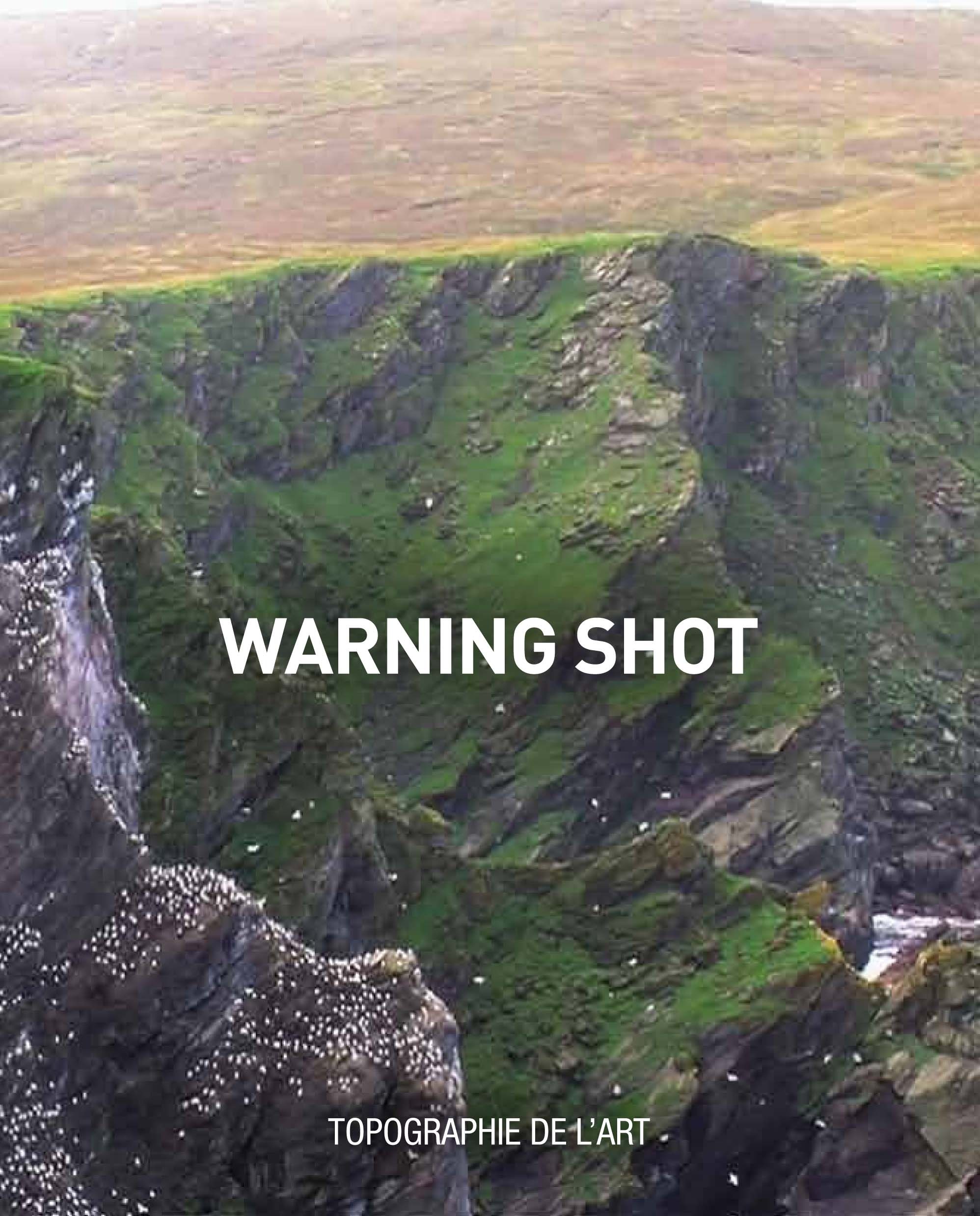 Warning shot - [exposition, Paris, Topographie de l'art, 5-27 juillet 2017]