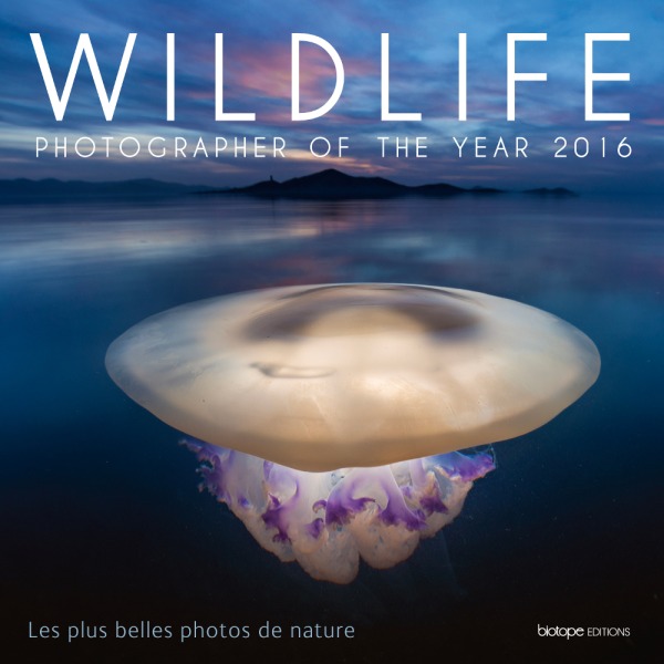 Wildlife photographer of the year 2016