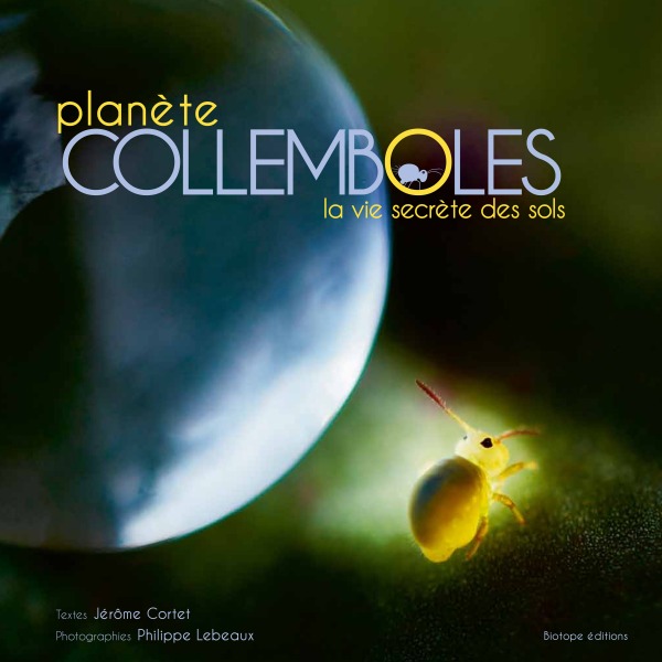 PLANETE COLLEMBOLES - LA VIE SECRETE DES SOLS