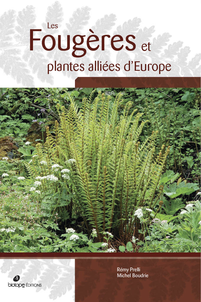 Les Fougères et plantes alliées d'Europe