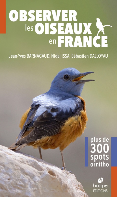 Observer les oiseaux en france