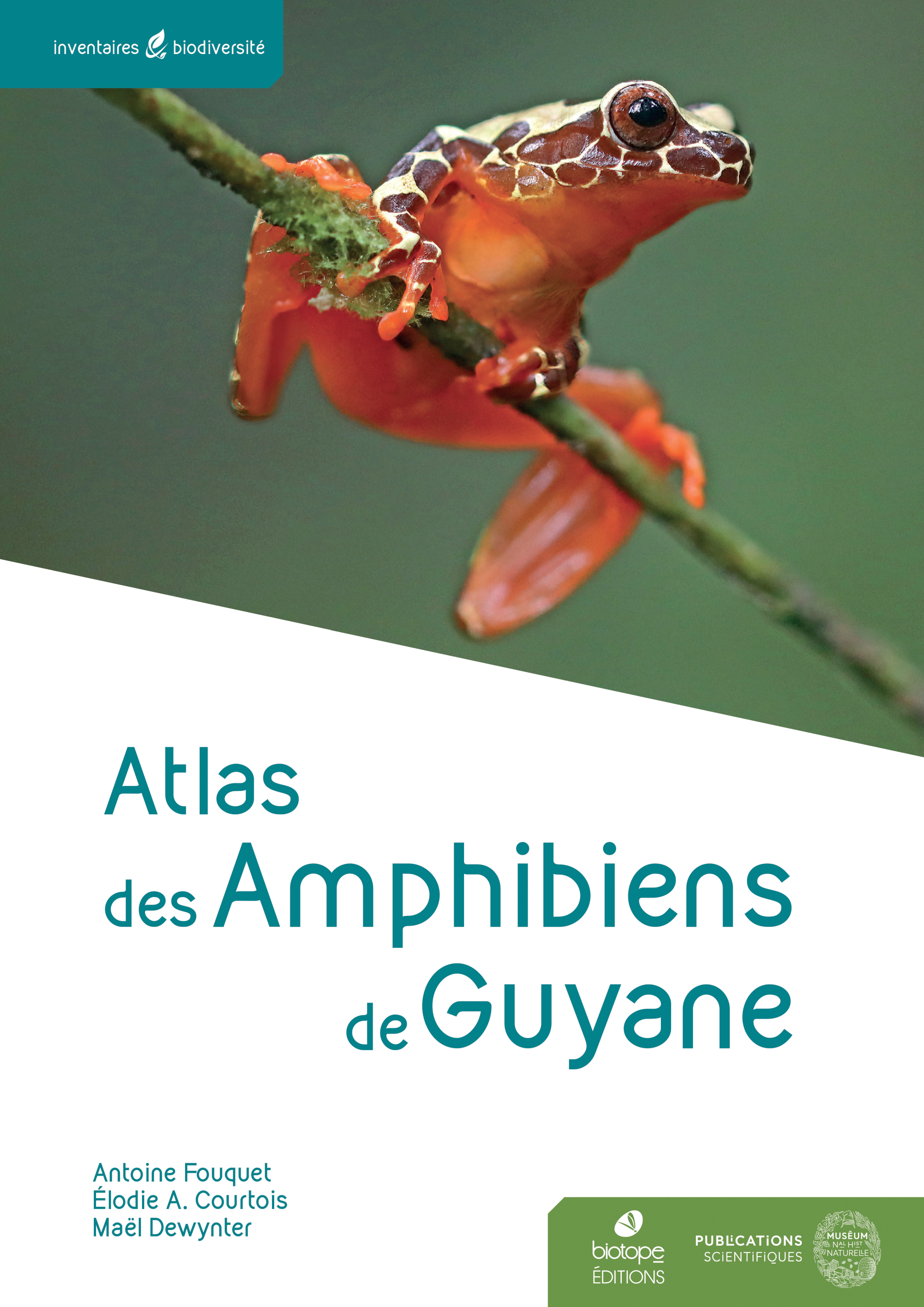 Atlas des Amphibiens de Guyane