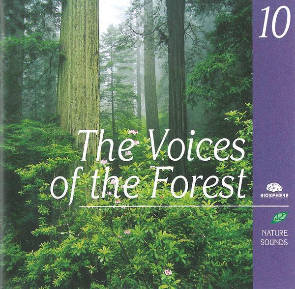 Les voix de la forêt