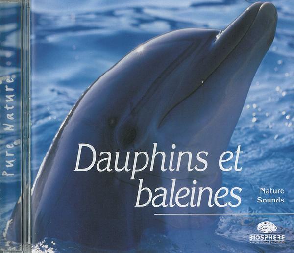 Dauphins et baleines
