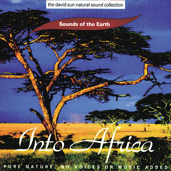 Into Africa
