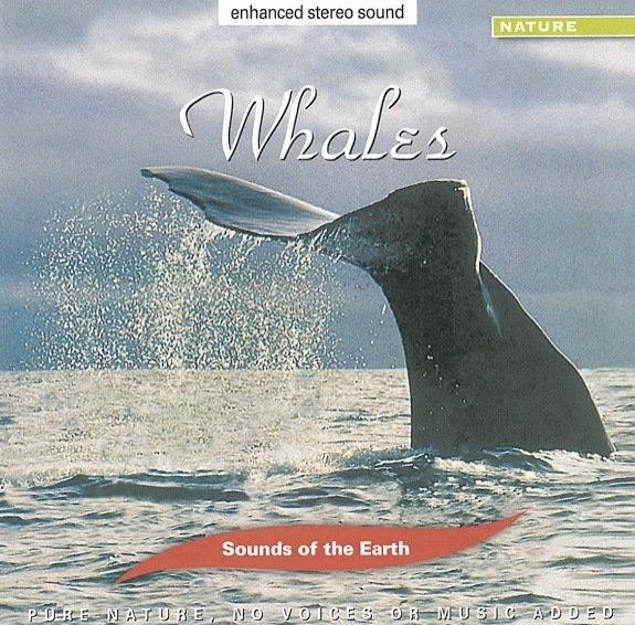 Whales