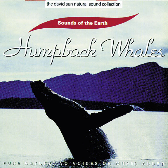 Humpback Whales