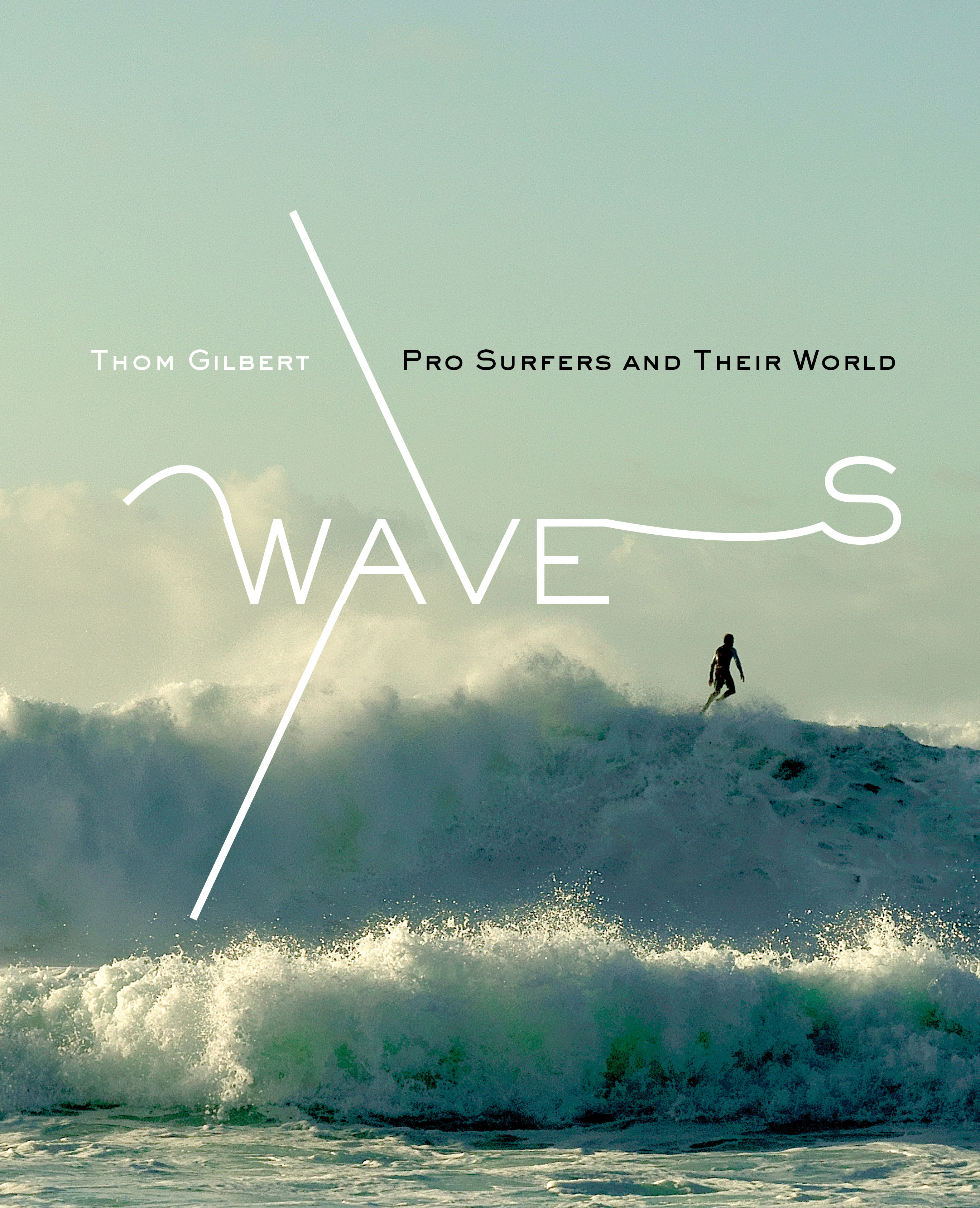 Waves: Pro Surfers and Their World