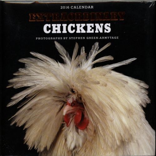 EXTRAORDINARY CHICKENS 2016