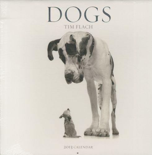 DOGS: 2013 WALL CALENDAR