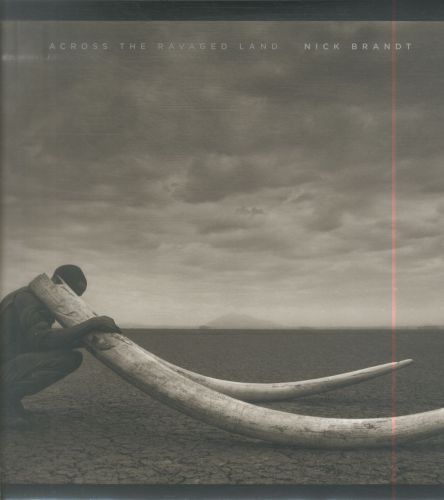 Across the Ravaged Land