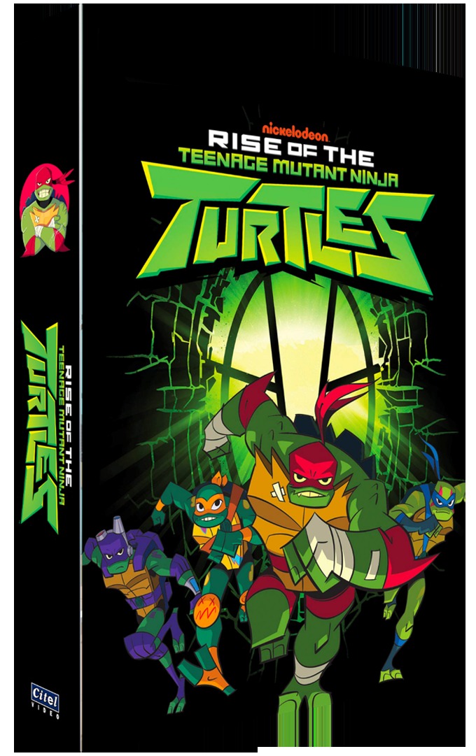 DESTIN DES TORTUES NINJA - 2 DVD