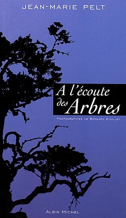 À l'écoute des arbres