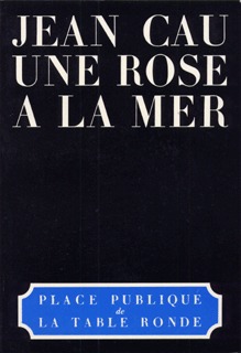 Une rose à la mer
