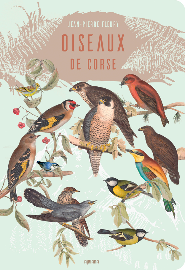 Les oiseaux de Corse