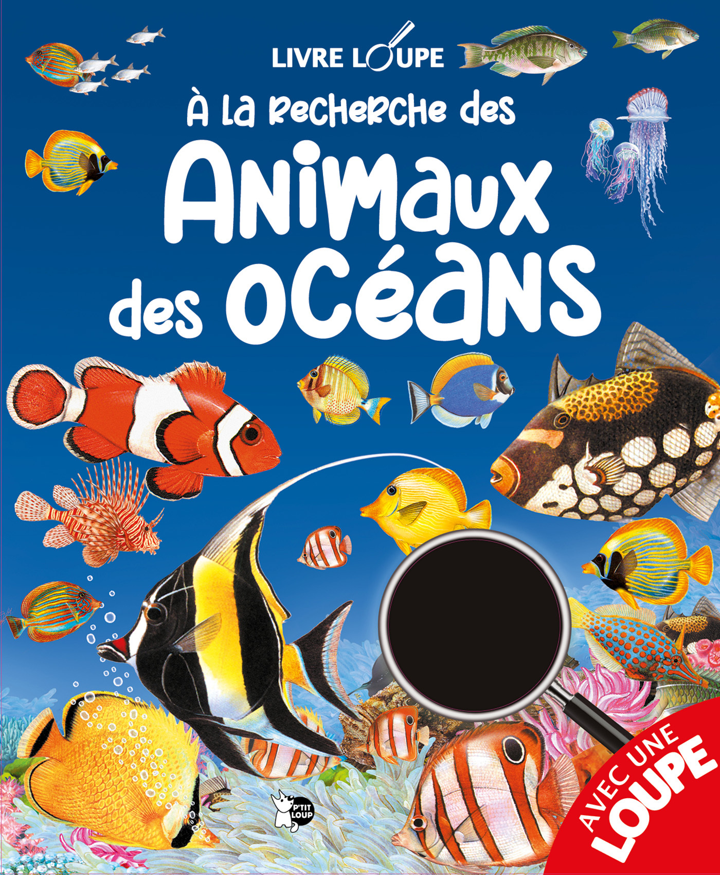 A la recherche des Animaux des Océans