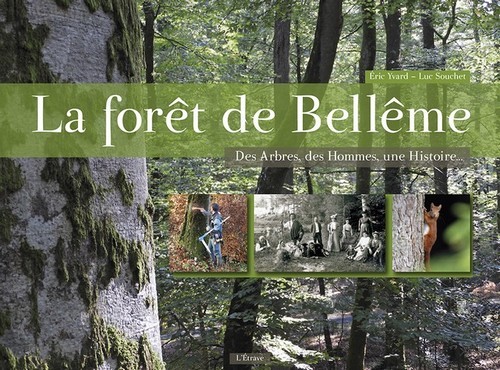 La forêt de Bellême